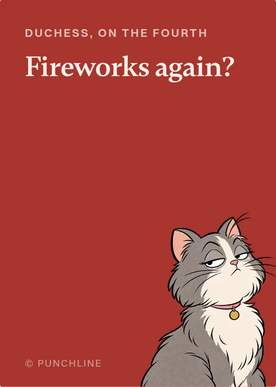 Duchess fourth of july card: Fireworks again?