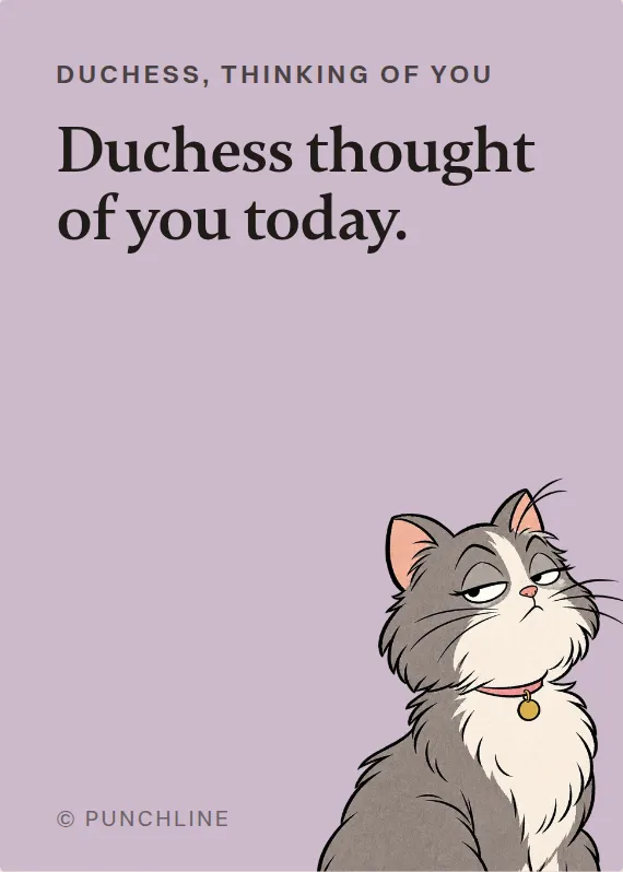 Duchess thinking of you card: Duchess thought of you today.