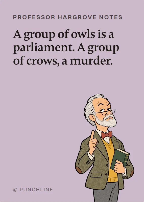 Prof. Hargrove birthdays card: A group of owls is a parliament. A group of crows, a murder.