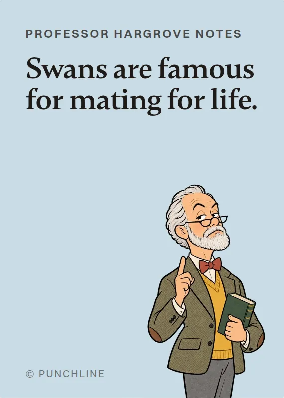 Prof. Hargrove breakups & divorce card: Swans are famous for mating for life.