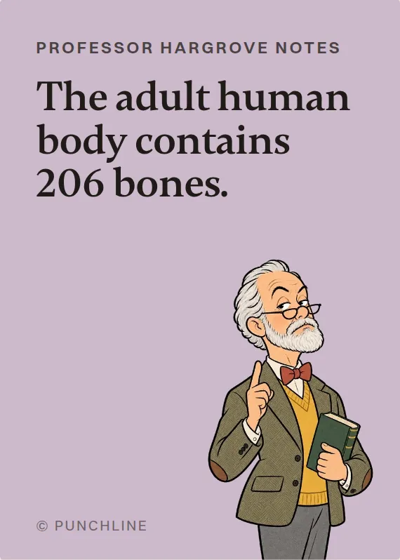 Prof. Hargrove hurt doing a hobby card: The adult human body contains 206 bones.