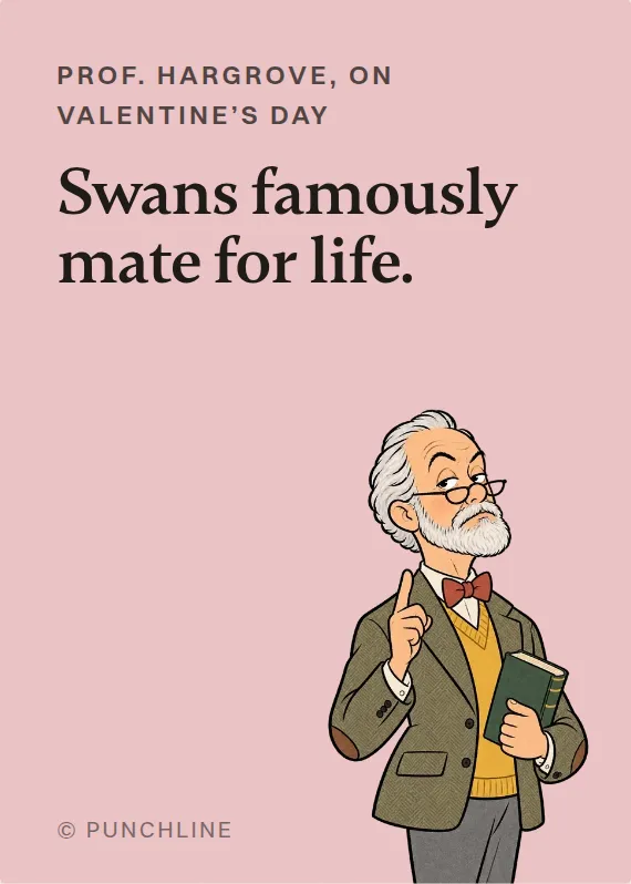 Prof. Hargrove valentine’s day card: Swans famously mate for life.